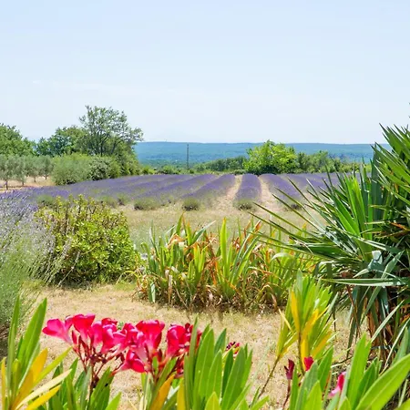 Bed & Breakfast Chez Bacchus - 2*